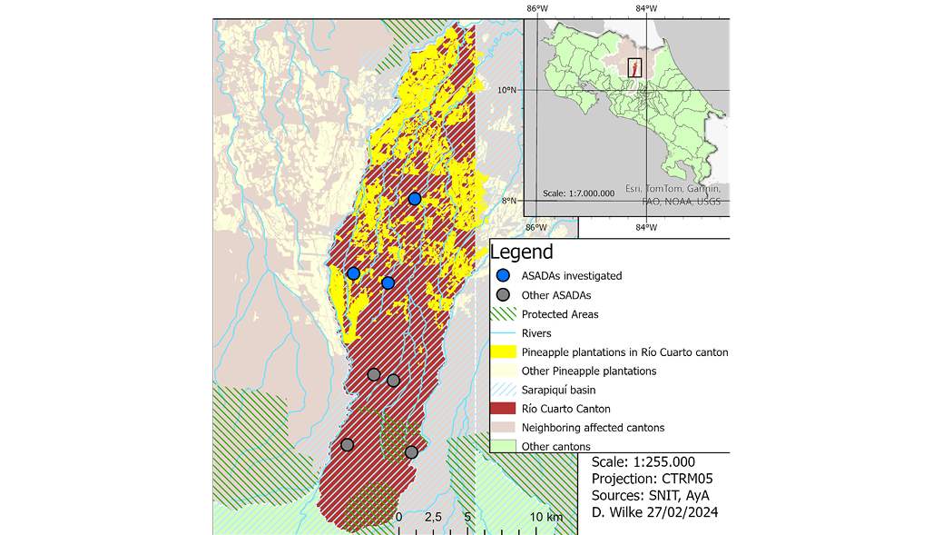 Map showing pineapple plantations and ASADAs (rural water management associations) in Río Cuarto canton, Costa Rica. The main map highlights the canton of Río Cuarto in dark red with diagonal lines, overlaid by extensive areas of yellow indicating pineapple plantations within the canton, and beige for plantations outside. Blue circles represent investigated ASADAs, while gray circles show other ASADAs. Green diagonal lines mark protected areas. Blue lines depict rivers, and light blue diagonal lines indicate the Sarapiquí River basin. Neighboring affected cantons are shaded differently from Río Cuarto. An inset map of Costa Rica shows the location of the detailed map area within the country. Map scale is 1:255,000. Data sources include SNIT and AyA, with map created by D. Wilke on 27 February 2024.