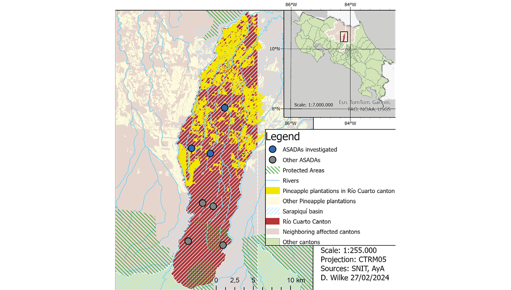 Map showing pineapple plantations and ASADAs (rural water management associations) in Río Cuarto canton, Costa Rica. The main map highlights the canton of Río Cuarto in dark red with diagonal lines, overlaid by extensive areas of yellow indicating pineapple plantations within the canton, and beige for plantations outside. Blue circles represent investigated ASADAs, while gray circles show other ASADAs. Green diagonal lines mark protected areas. Blue lines depict rivers, and light blue diagonal lines indicate the Sarapiquí River basin. Neighboring affected cantons are shaded differently from Río Cuarto. An inset map of Costa Rica shows the location of the detailed map area within the country. Map scale is 1:255,000. Data sources include SNIT and AyA, with map created by D. Wilke on 27 February 2024.