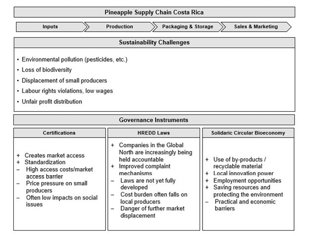 The figure illustrates the pineapple supply chain in Costa Rica, broken down into four stages: Inputs, Production, Packaging & Storage, and Sales & Marketing. Below the supply chain flow, it presents three sections: Sustainability Challenges, Governance Instruments, and three governance strategies with their respective pros and cons.
Sustainability Challenges include:
Environmental pollution (e.g., pesticides)
Loss of biodiversity
Displacement of small producers
Labour rights violations and low wages
Unfair profit distribution
Governance Instruments are divided into three categories:
Certifications
Pros:
Enables market access
Promotes standardization
Cons:
High access and compliance costs
Becomes a barrier to market entry
Exerts price pressure on small producers
Often minimal impact on social issues
HREDD Laws (Human Rights and Environmental Due Diligence)
Pros:
Increased accountability for companies in the Global North
Better complaint mechanisms
Cons:
Legal frameworks are still under development
Cost burden tends to fall on local producers
Risk of further market exclusion
Solidaric Circular Bioeconomy
Pros:
Encourages use of by-products and recyclable materials
Enhances local innovation
Creates employment opportunities
Saves resources and protects the environment
Cons:
Faces practical and economic barriers
