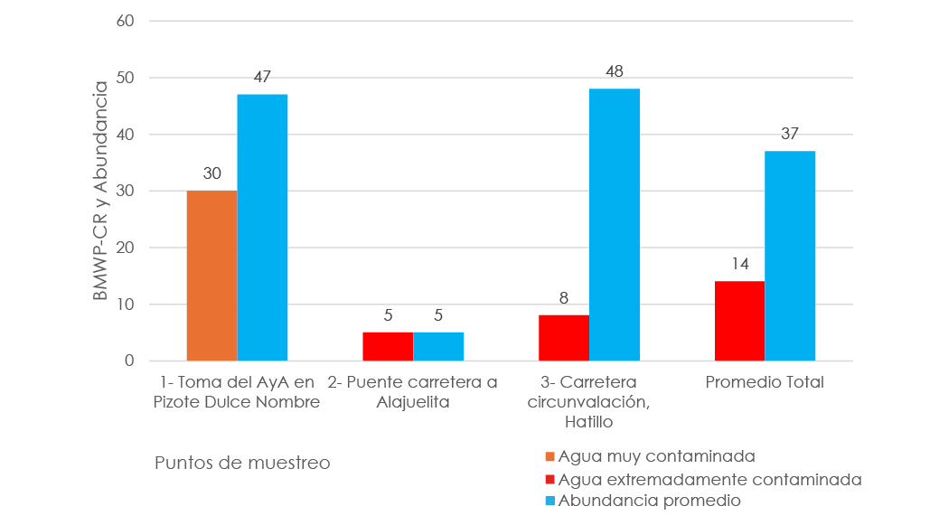 Gráfico de barras comparativo que muestra, para cuatro puntos de muestreo —Toma del AyA en Pizote Dulce Nombre, Puente carretera a Alajuelita, Carretera circunvalación, Hatillo, Promedio total— los valores del índice biológico BMWP-CR junto con la abundancia promedio de macroinvertebrados. Cada sitio presenta dos barras: una para el puntaje BMWP-CR (clasificado por color según nivel de contaminación: agua contaminada, muy contaminada o extremadamente contaminada) y otra para la abundancia de organismos. Las barras permiten comparar visualmente la calidad biológica del agua y la cantidad de macroinvertebrados recolectados en cada punto, mostrando que algunos sitios presentan valores más altos de BMWP-CR y mayor abundancia que otros. Al pie se incluye una leyenda de colores para los niveles de contaminación y un indicador adicional para la serie de abundancia promedio.