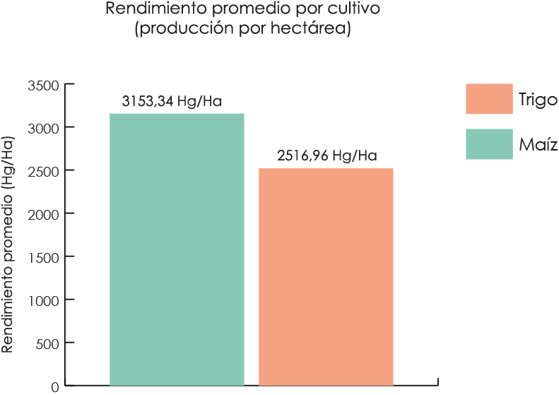 Gráfico de barras titulado “Rendimiento promedio por cultivo (producción por hectárea)”. El eje vertical muestra el rendimiento promedio en hectogramos por hectárea (Hg/Ha), con valores desde 0 hasta aproximadamente 3 500. Se comparan dos cultivos: maíz y trigo. El maíz presenta el mayor rendimiento promedio, con 3 153,34 Hg/Ha, mientras que el trigo registra 2 516,96 Hg/Ha. El gráfico indica que, en promedio, el maíz tiene un rendimiento por hectárea superior al del trigo.