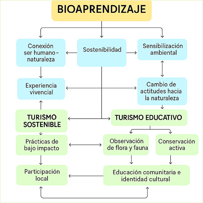 Diagrama que presenta la interacción entre bioaprendizaje, turismo sostenible y turismo educativo 
